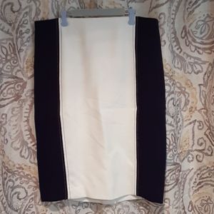 Ann Taylor Petite 2 Pencil skirt